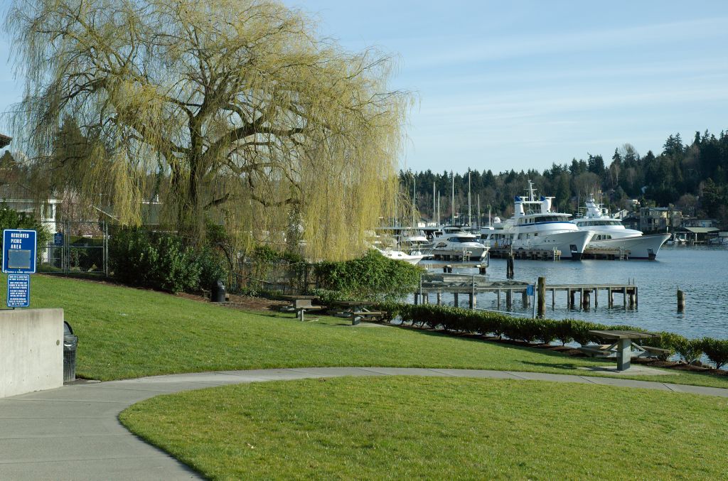 boat harbor in the early morning near a dock