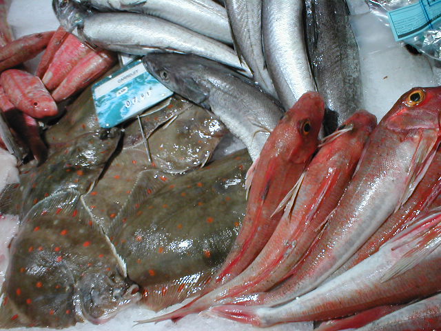 there are many fish for sale in the market