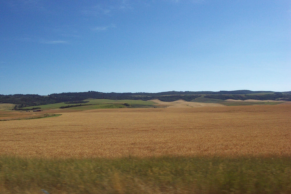 this is an image of the landscape seen out the car window