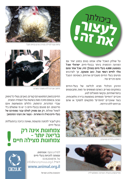 an article in the jewish language on animals