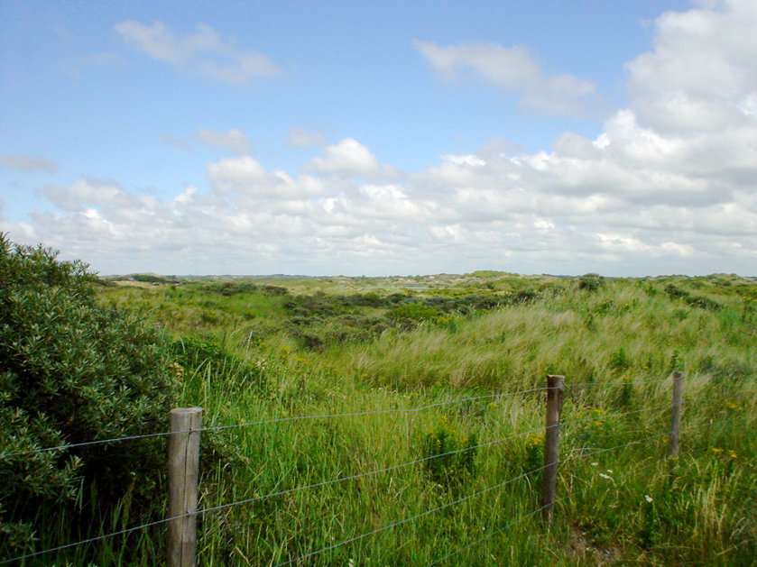 an open grassy field and fence with clouds in the sky