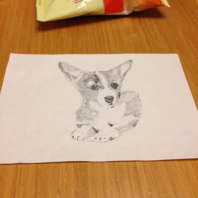 pencil drawing on a piece of paper of a dog