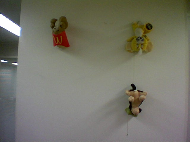 three different stuffed animals on the wall