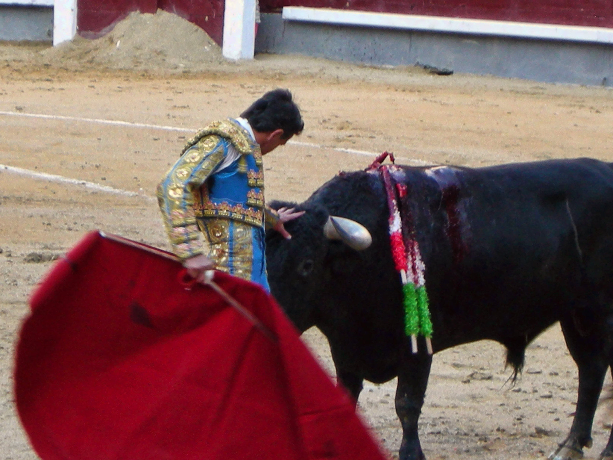 a man standing next to a large bull wearing red garb