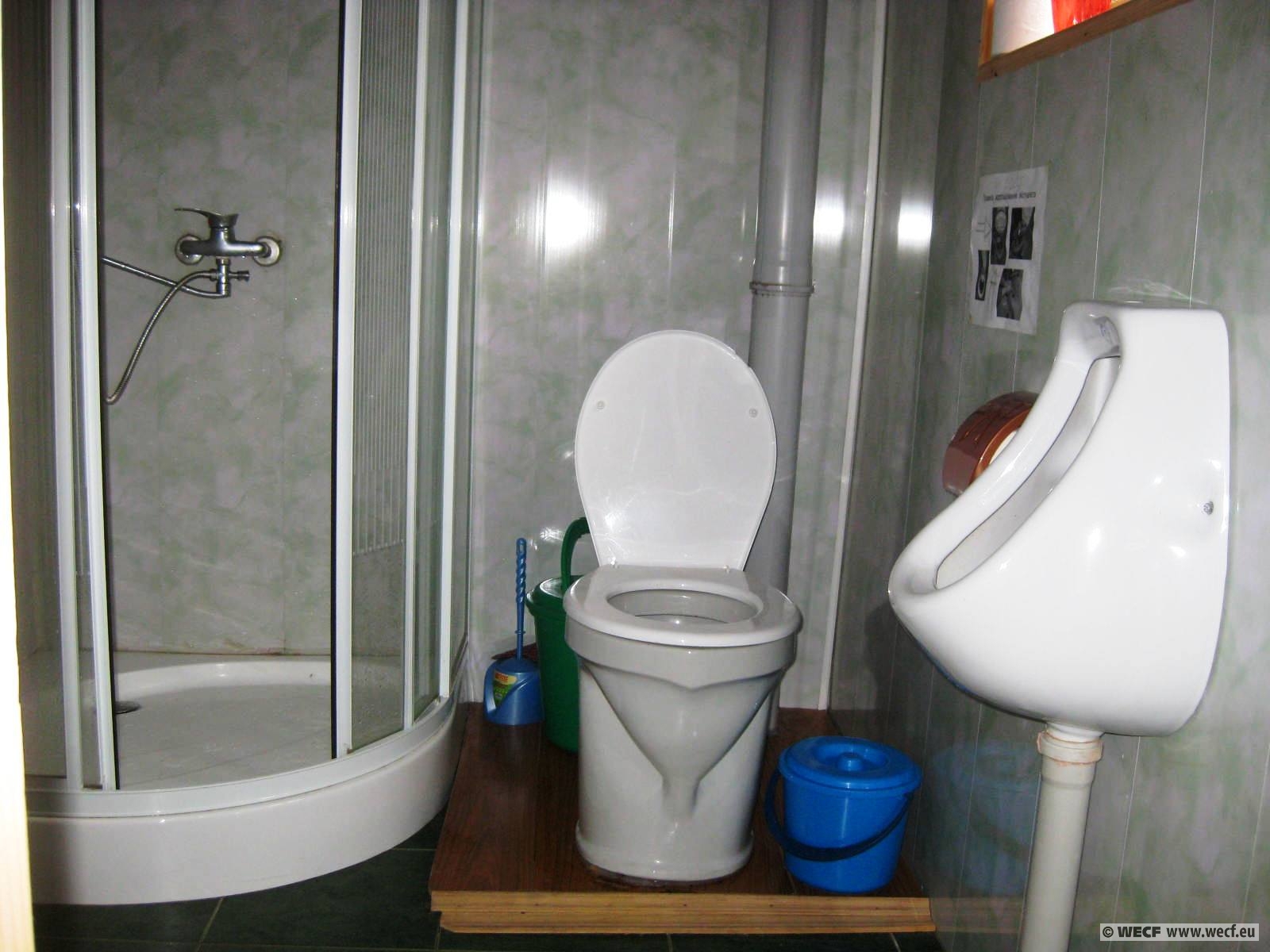 a bathroom with a shower and toilet with glass door