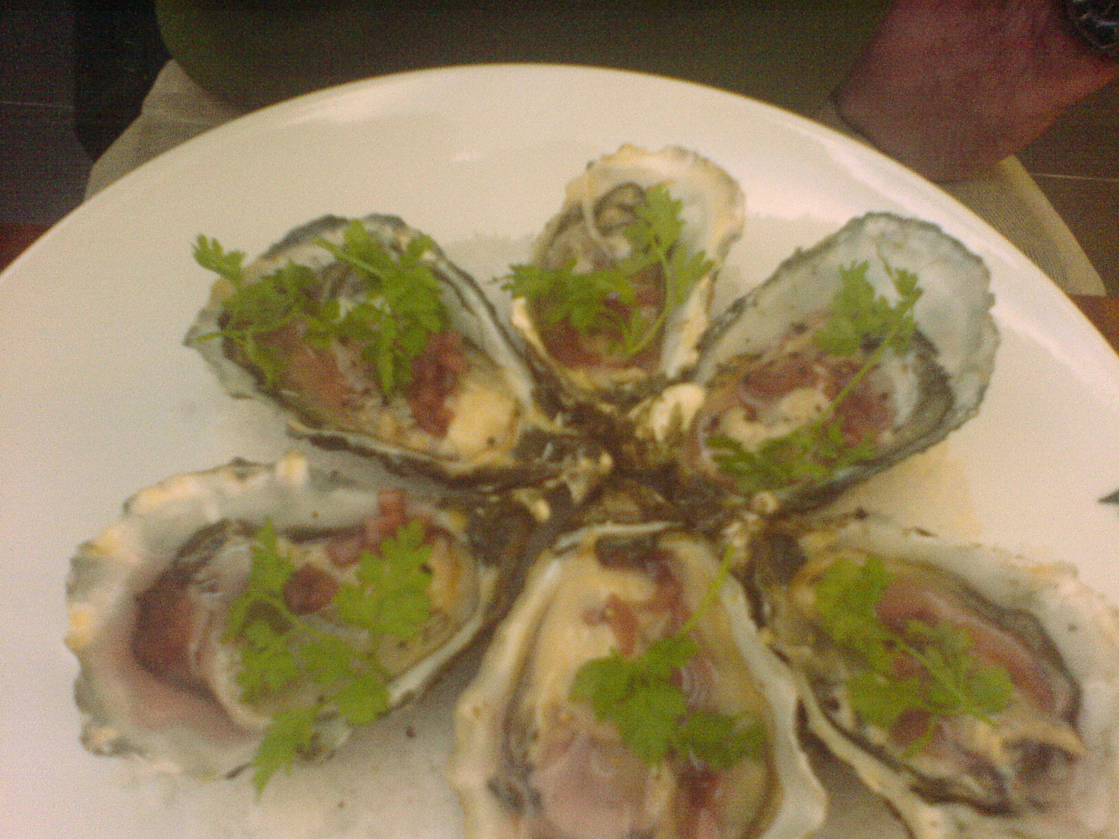 some oysters are in an arrangement on a plate