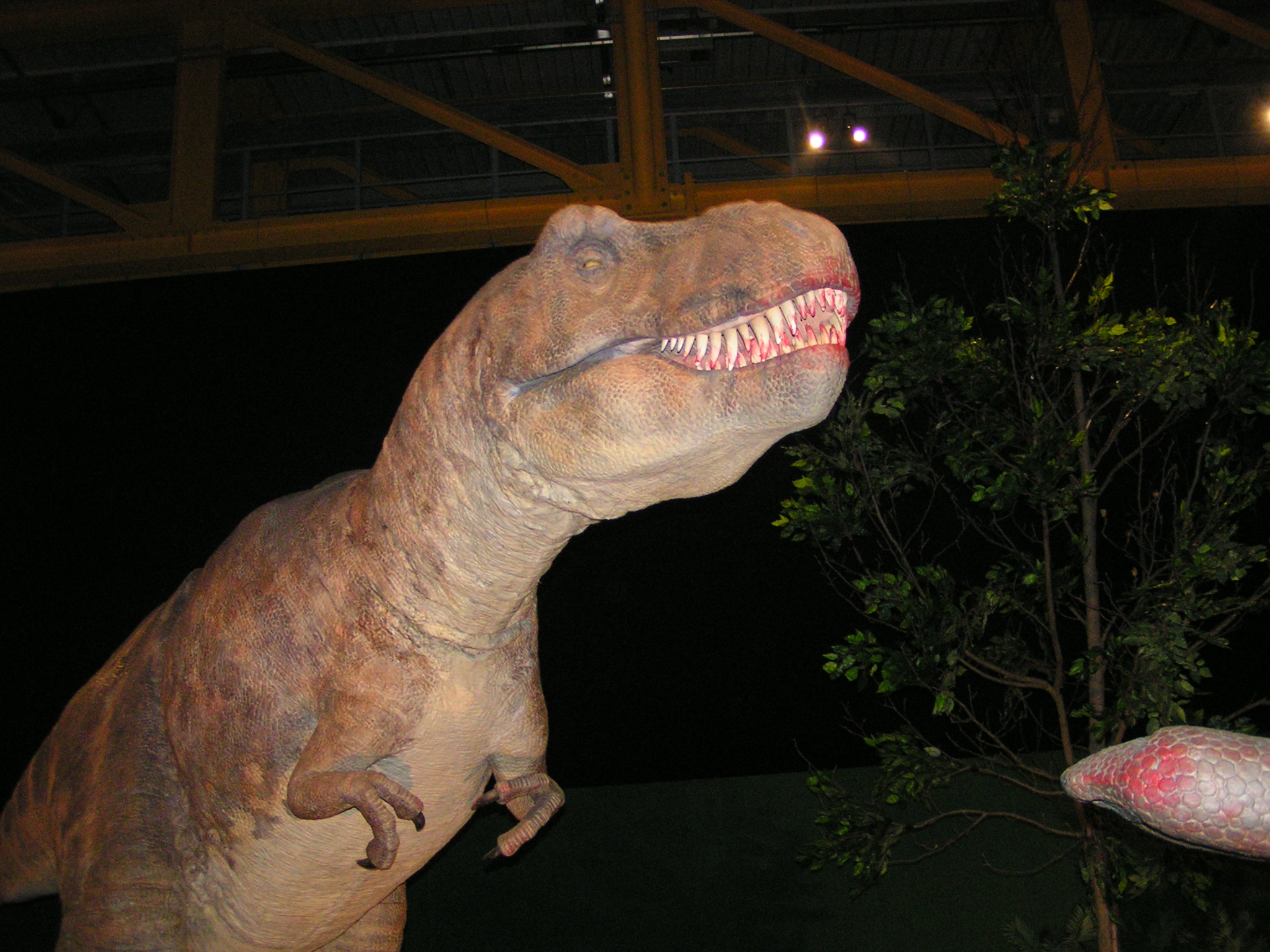 an adult t - rex with open mouth standing next to a tree