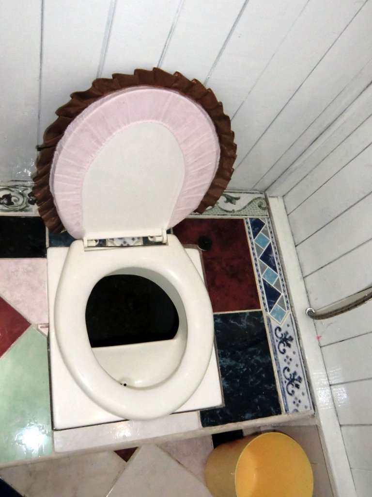 the toilet seat is made of plastic material