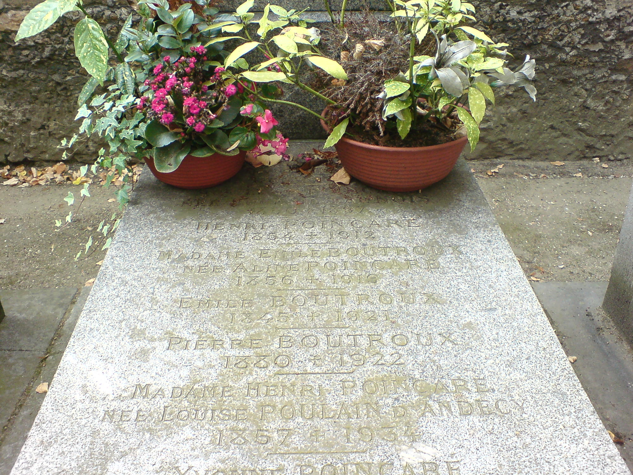 some flowers are laying in front of two flowerpots