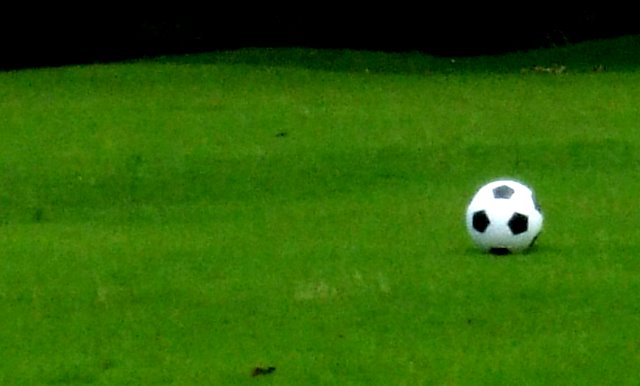 a black and white soccer ball sitting on top of a field