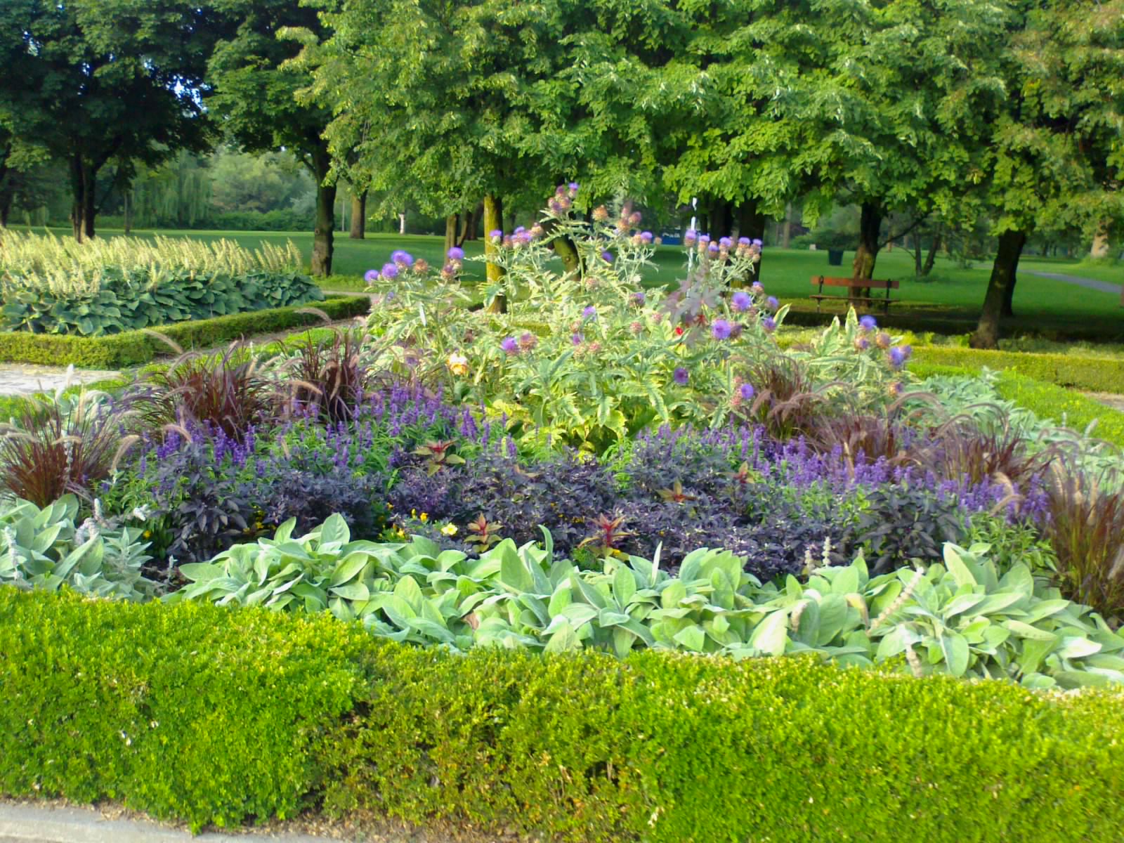 a garden with different flowers and trees