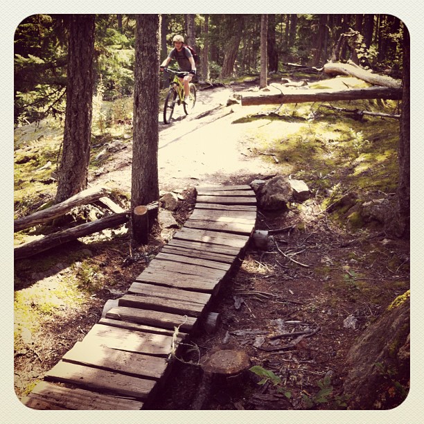 this is a small wooden footbridge in a forest