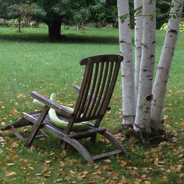 a wooden chair sitting next to trees in a park