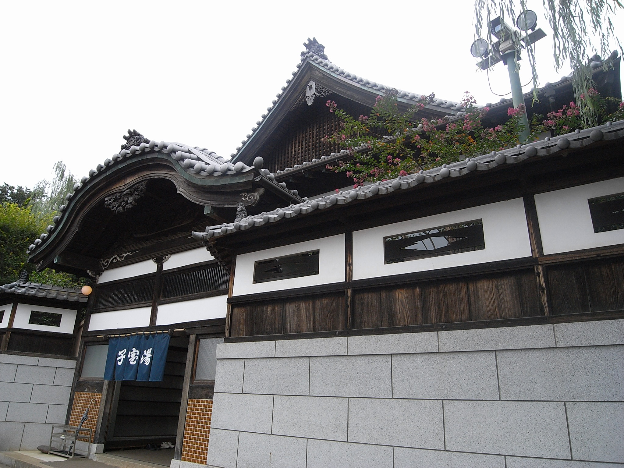 a white building with some plants on the roof