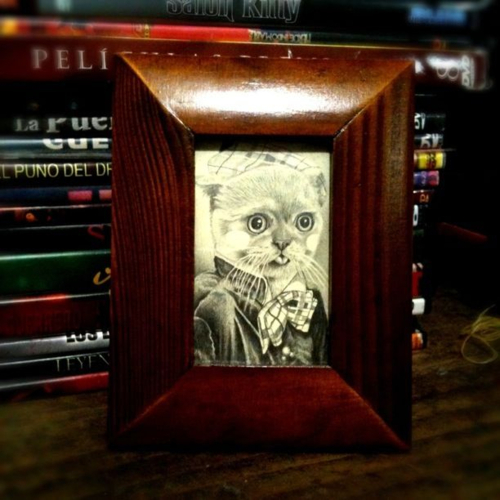 an old po frame with an adorable cat on it