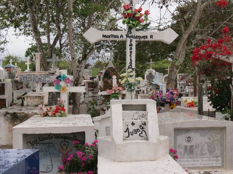 a cemetery with flowers and signs in it