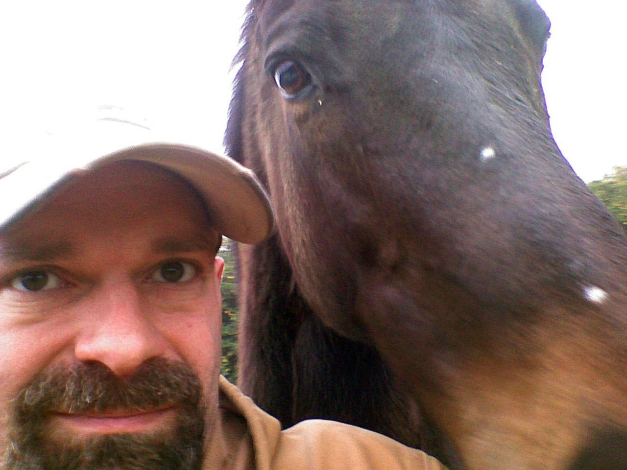 a man in a baseball cap standing next to a brown horse