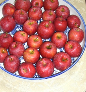 bowl of small apples sitting on a counter