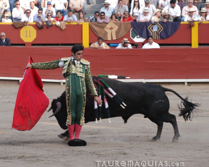 a man in traditional mexican clothing performs with a bull