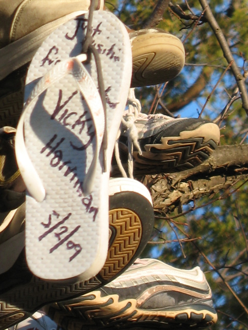 many different shoes on display together next to each other