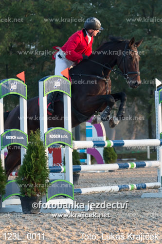 a person on a horse doing a jump over some poles