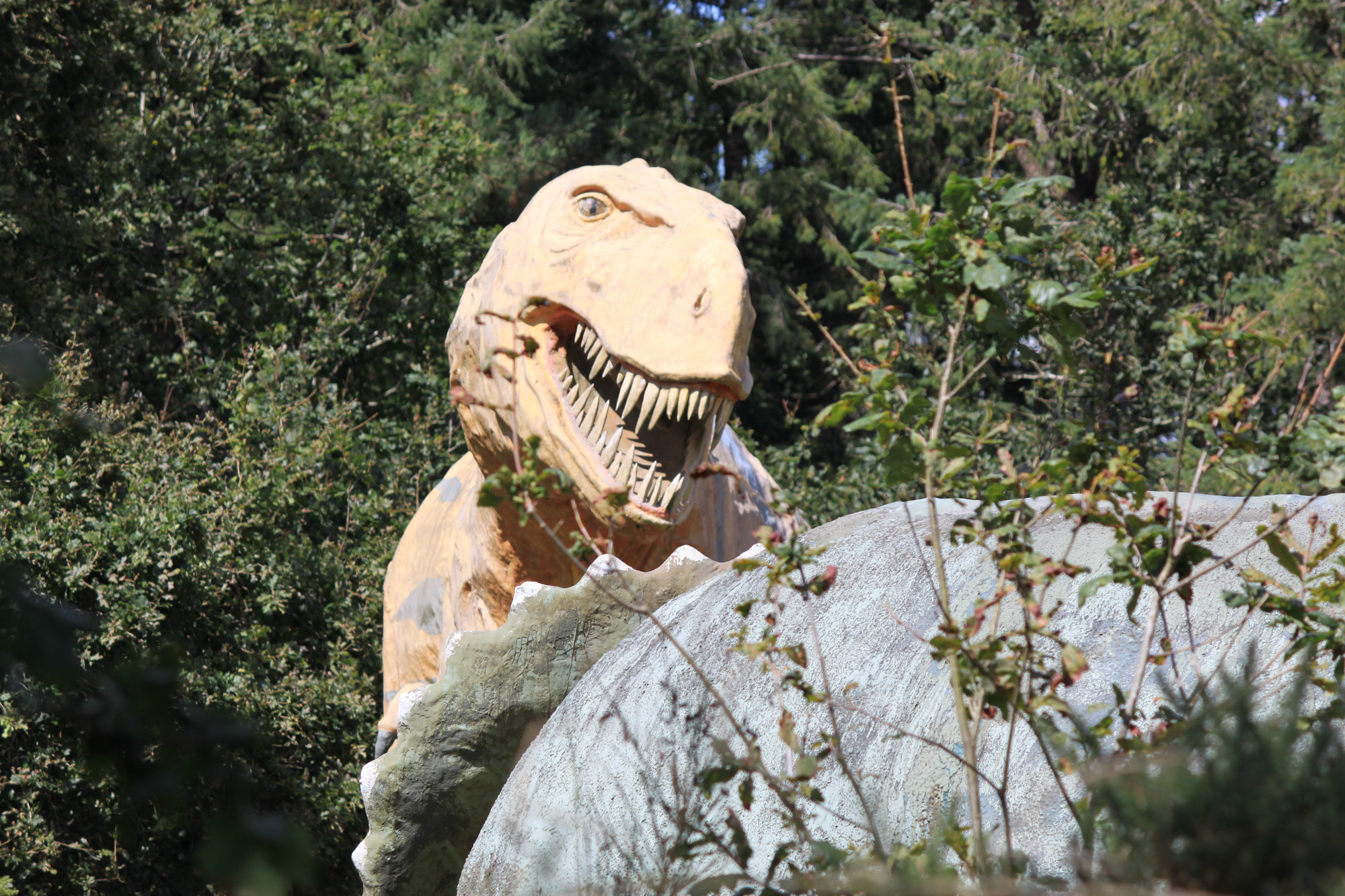 a close up of a dinosaur in some grass and bushes