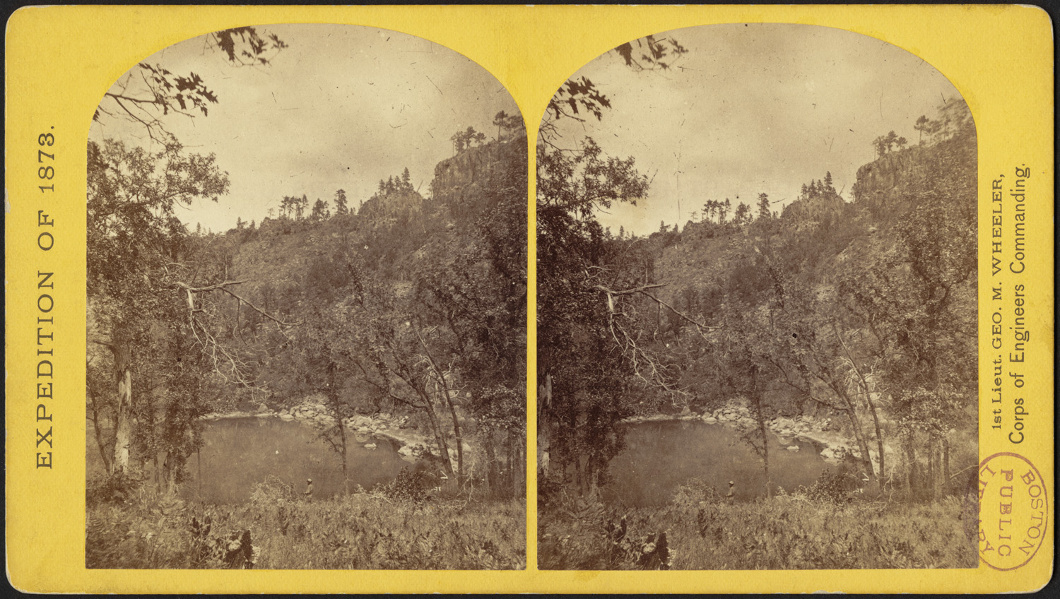 two different colored images of two trees on two sides