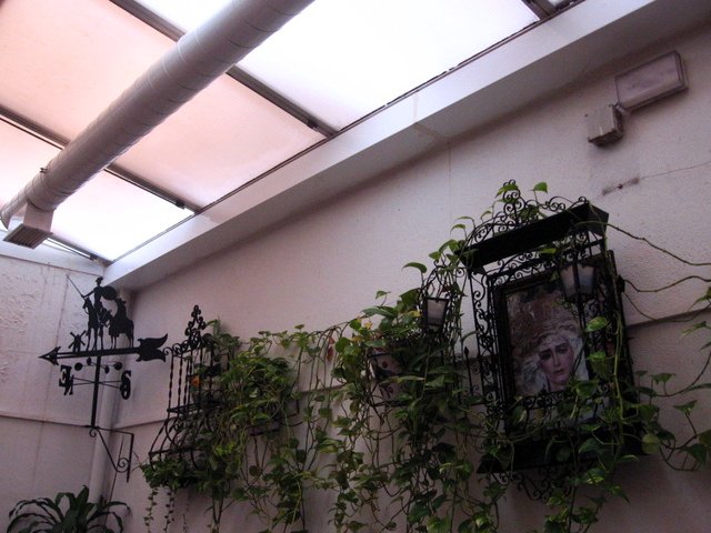 an indoor atrium with many plants hanging from ceiling