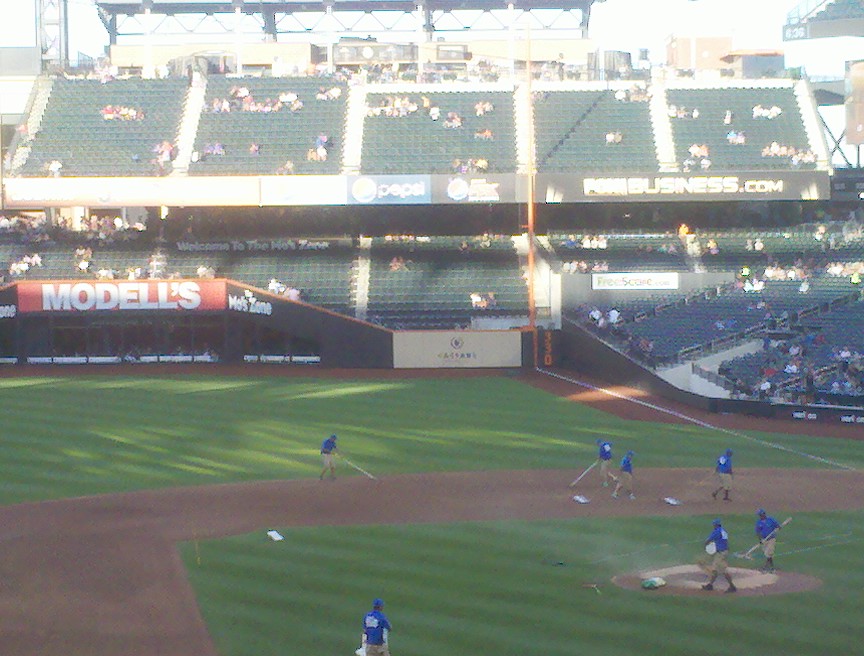 a baseball game is being played on a green grass field