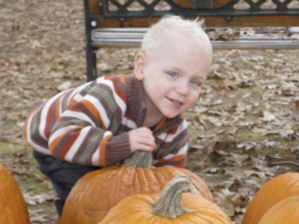 a small child playing with pumpkins at a park