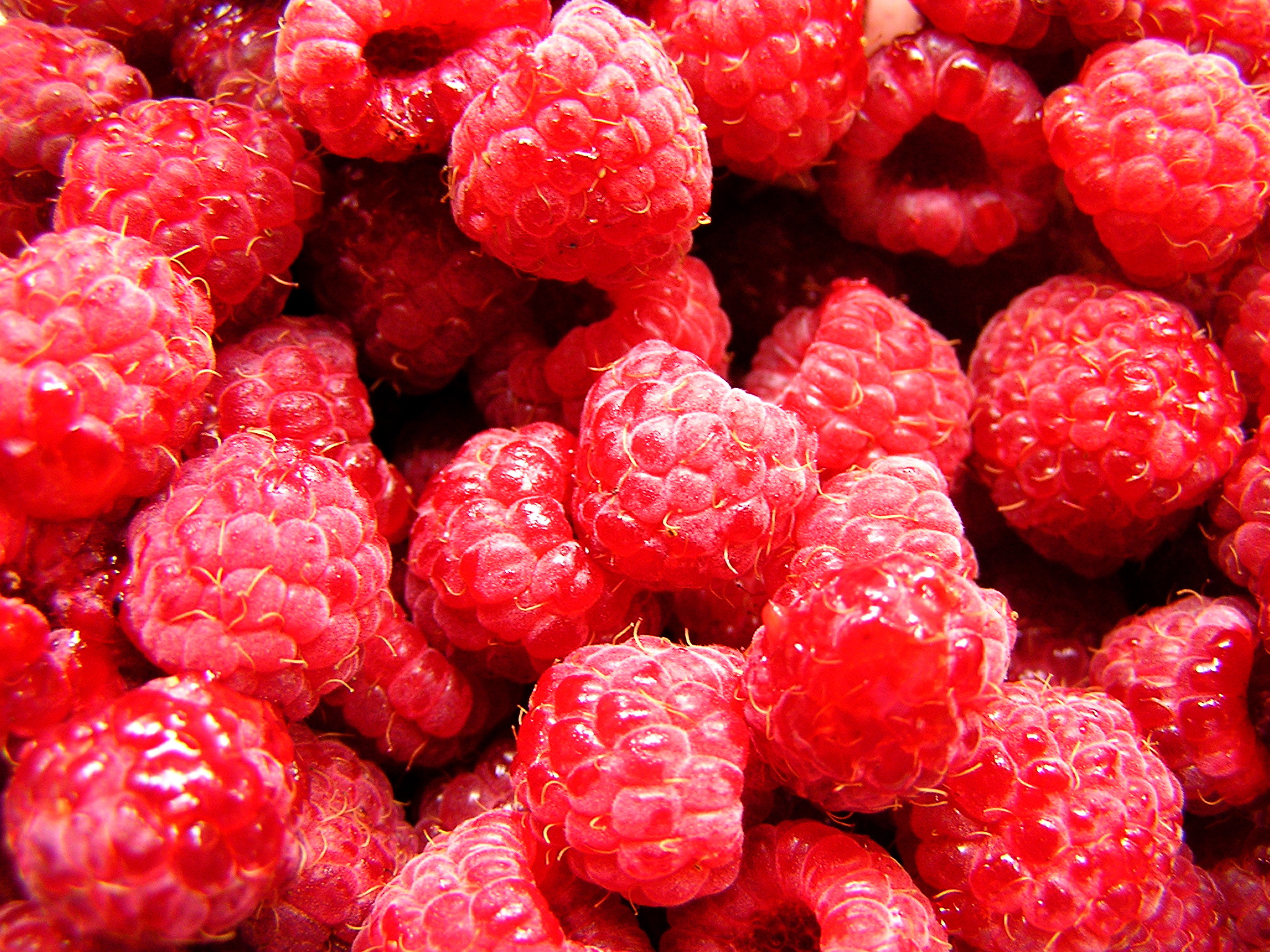 fresh raspberries are all that can be seen here