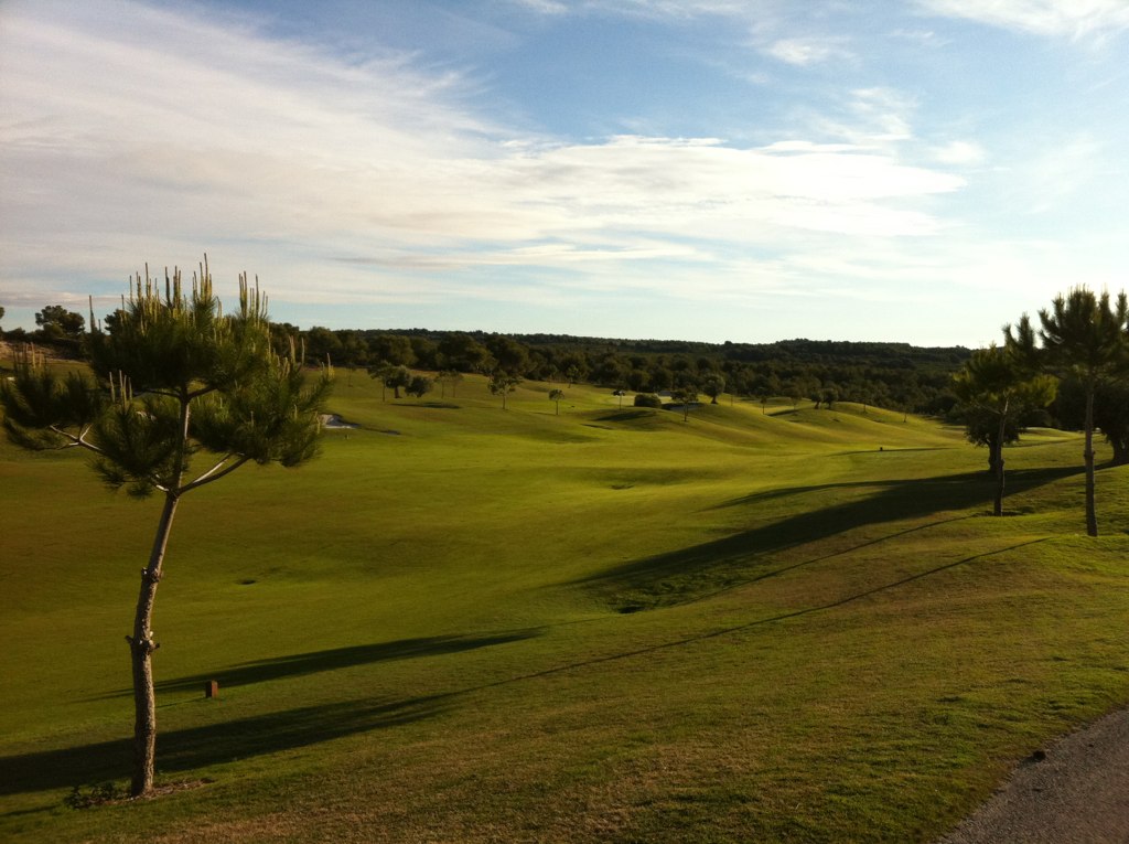 a golf field with two trees and one white horse
