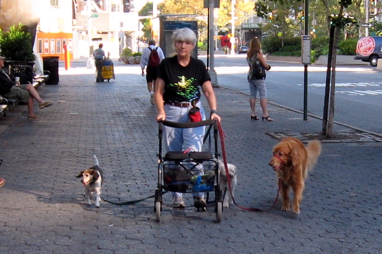 a lady with three dogs pulling a wheel chair