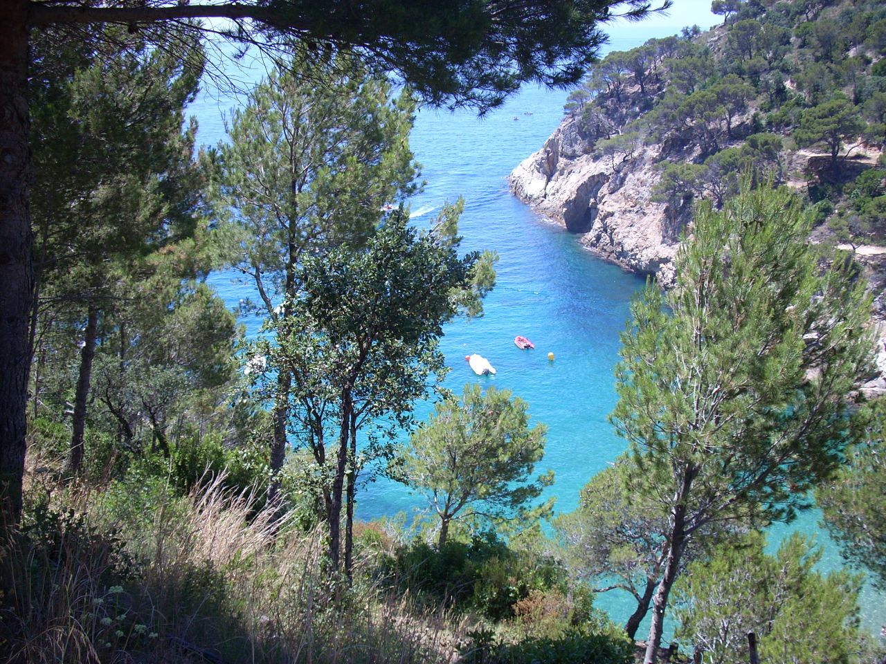 two paddle boats in the blue water between two trees