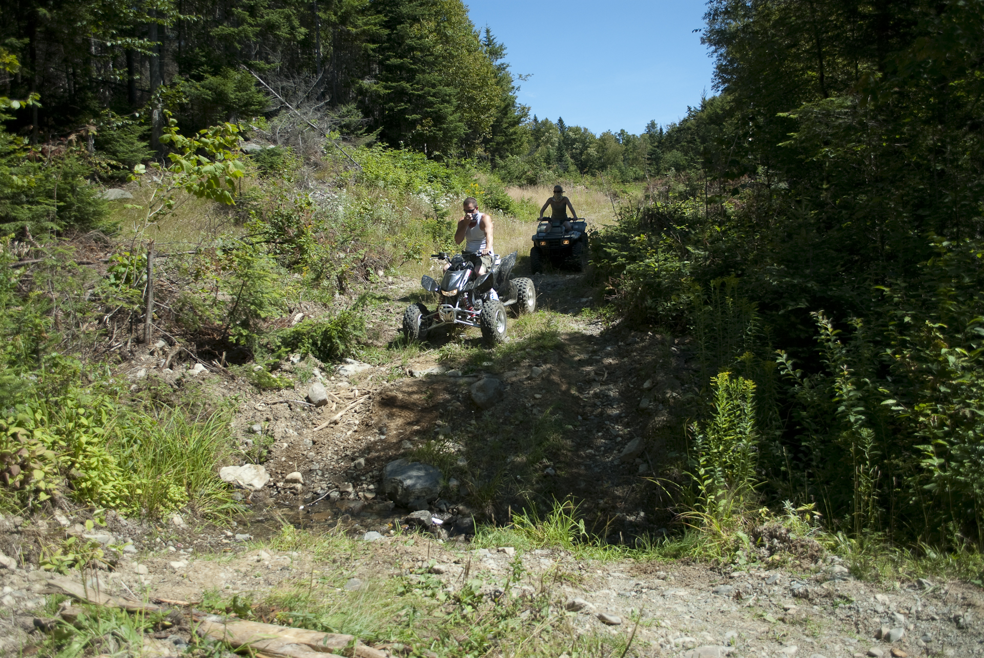 three people riding four wheelers through the jungle