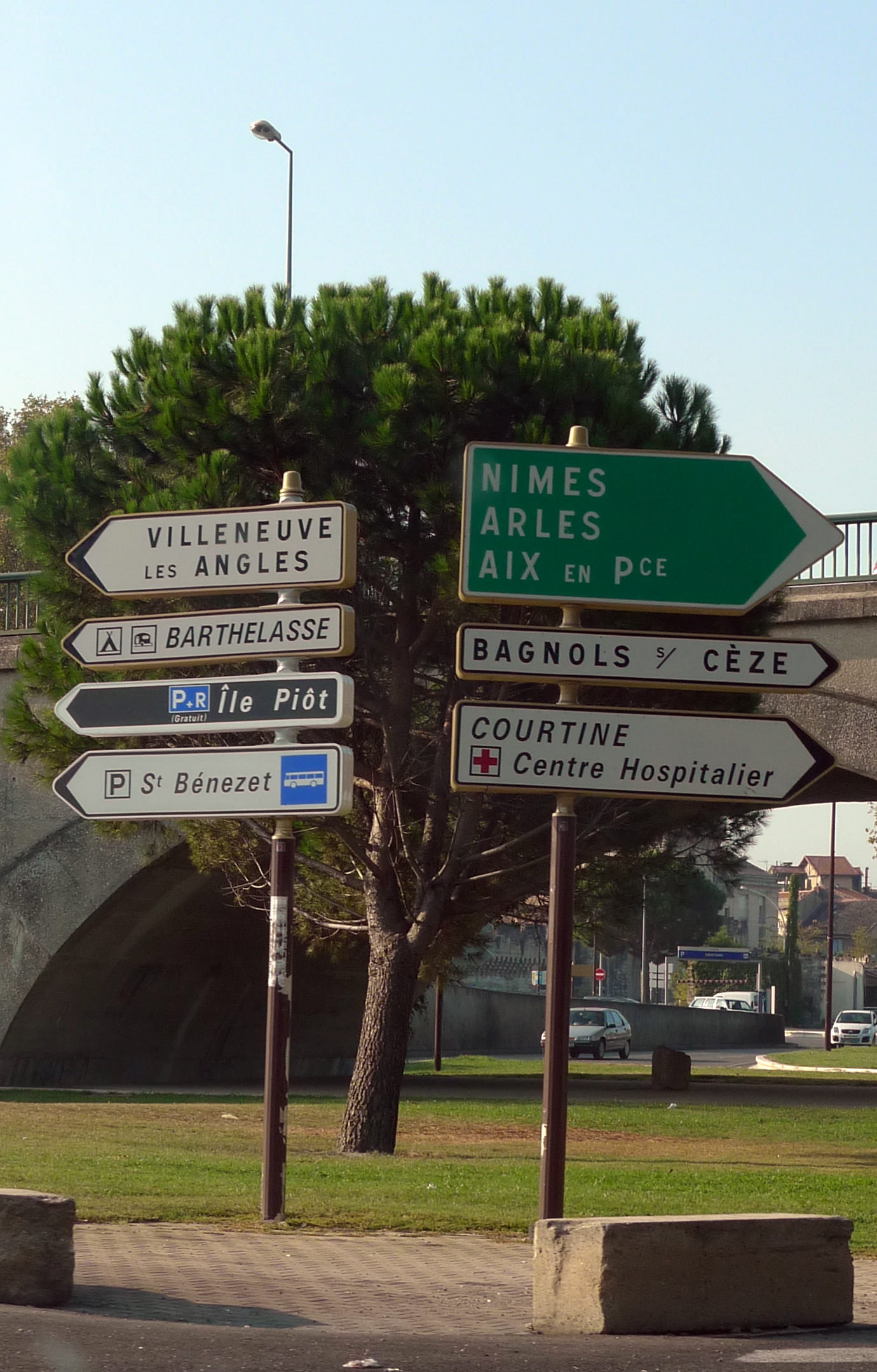 a tree stands in front of the many street signs