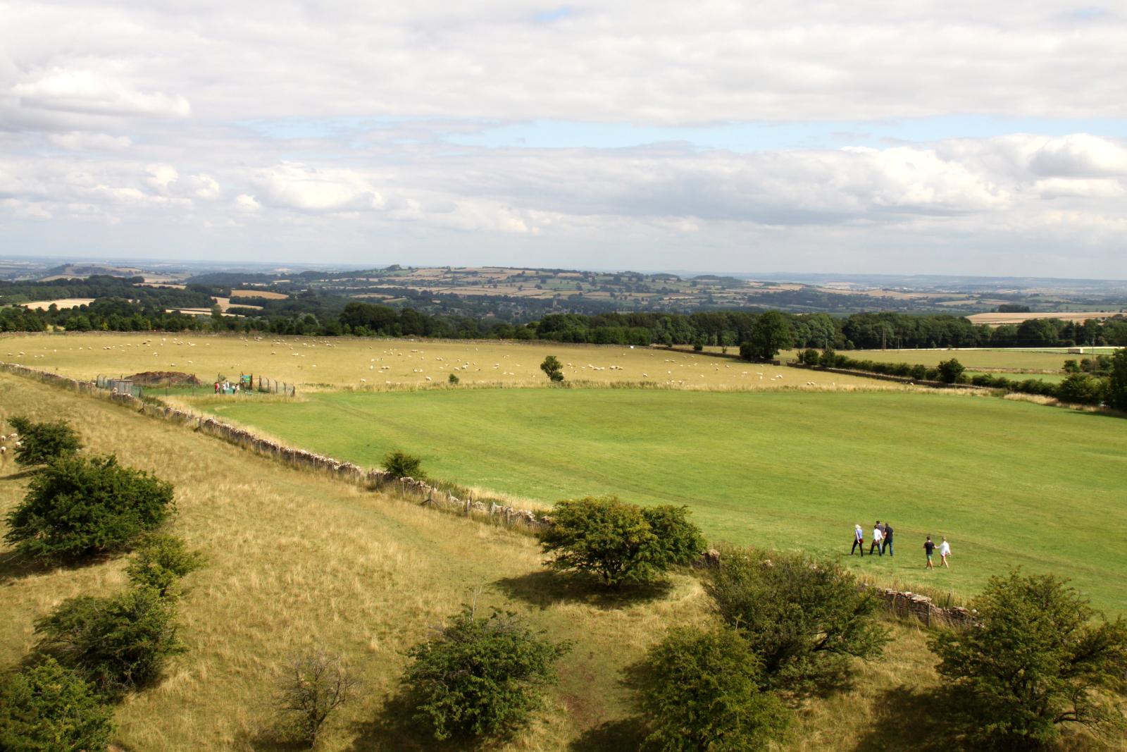 a grassy field with trees on both sides and clouds in the background