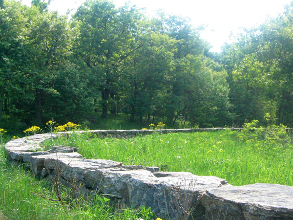 a large stone rock wall stretches through the woods