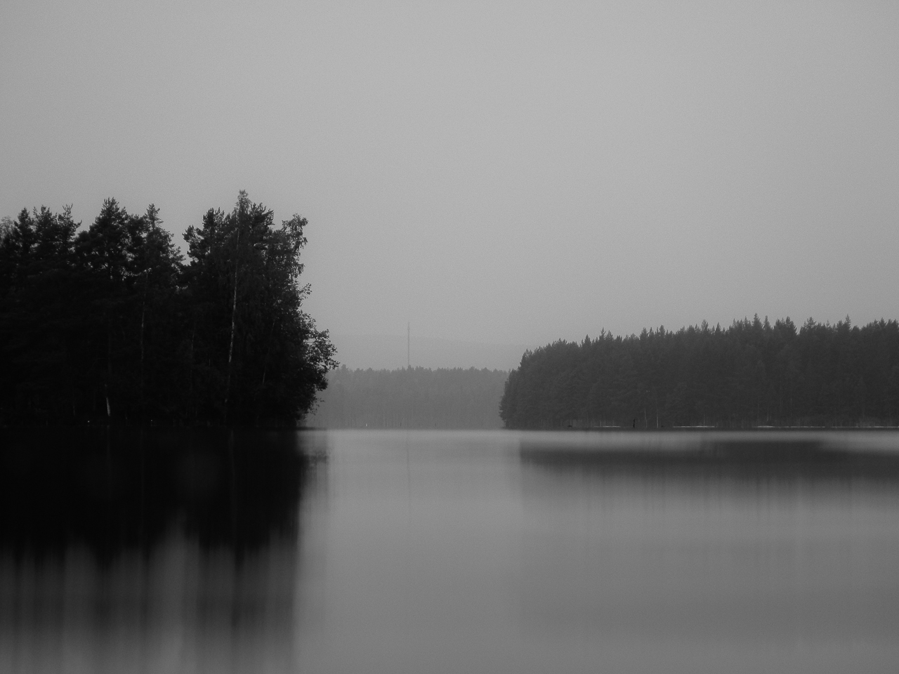 a pond surrounded by evergreen forest on a foggy day