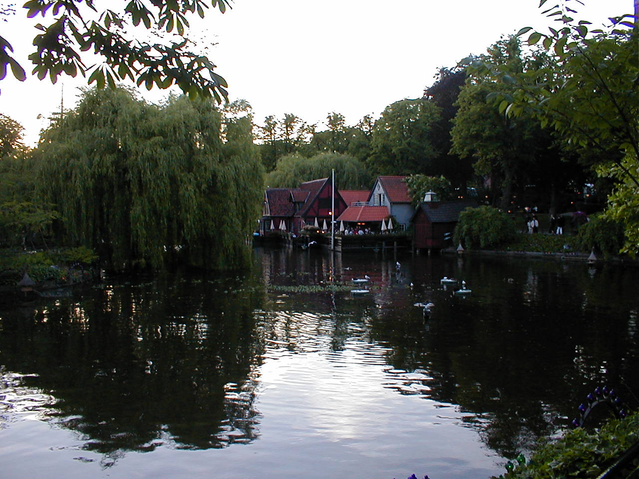 an image of the lake that is surrounded by trees