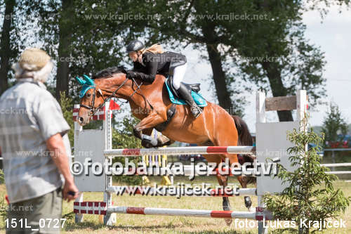 a horse jumping over an obstacle with it's rider