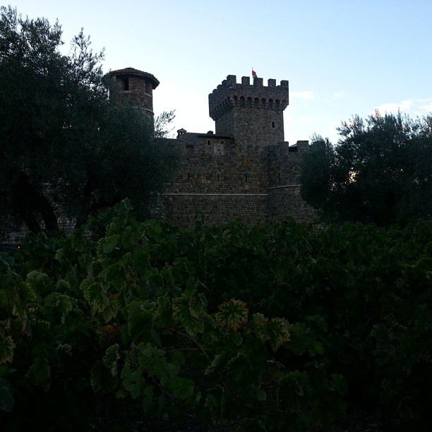 the trees are silhouetted against a castle like building