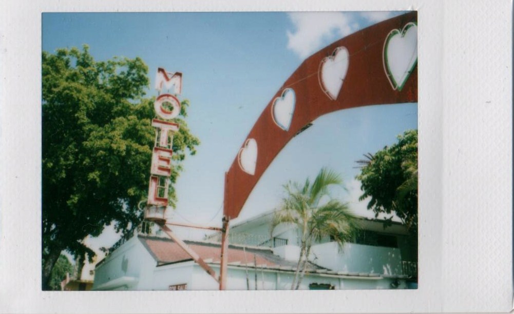 a picture of a motel sign in front of palm trees