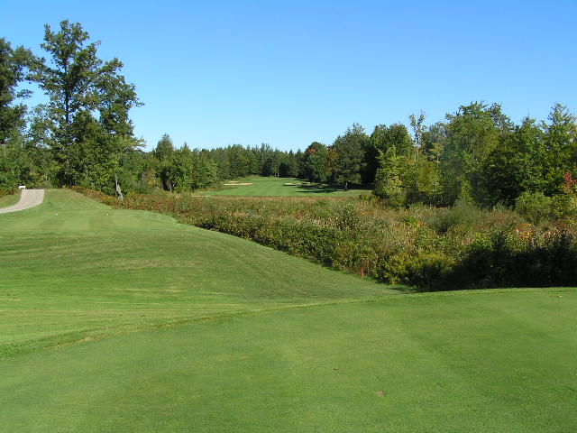 a golf course with a very tall tree near the grass