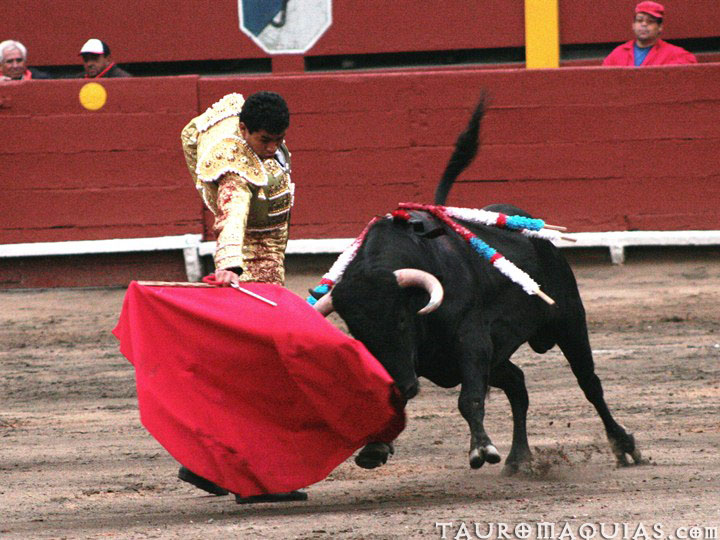 a man is attempting to pull the tail of a bull in an arena