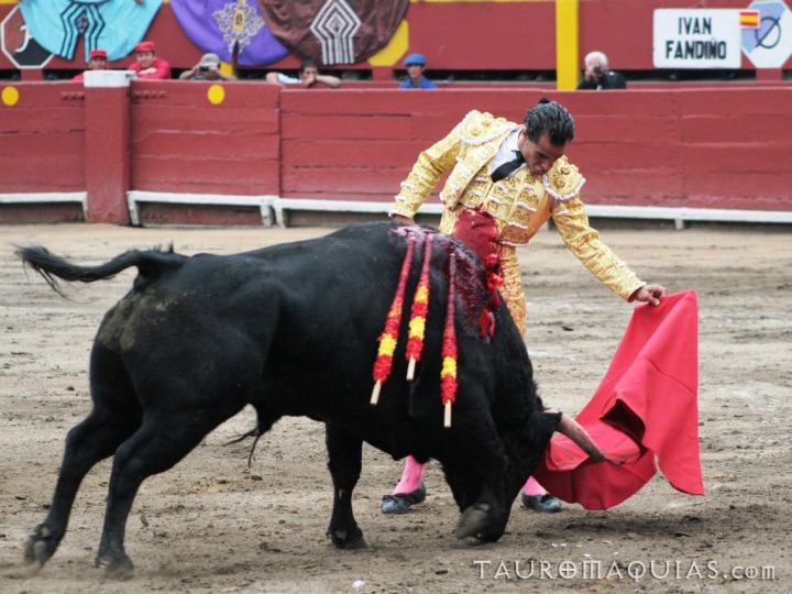 man in bull's clothing, with red cape and lasso