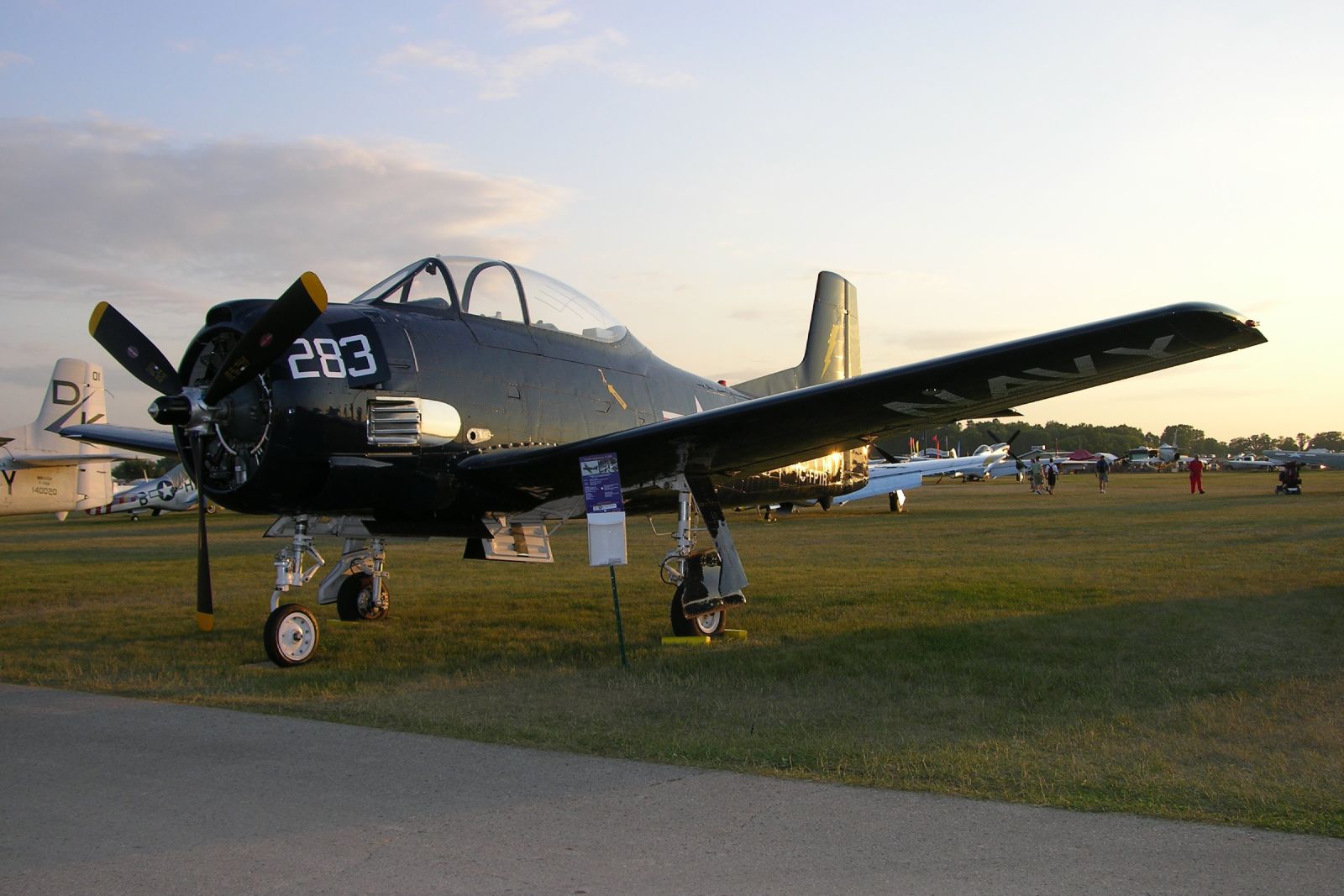 a black plane on grass and people walking by