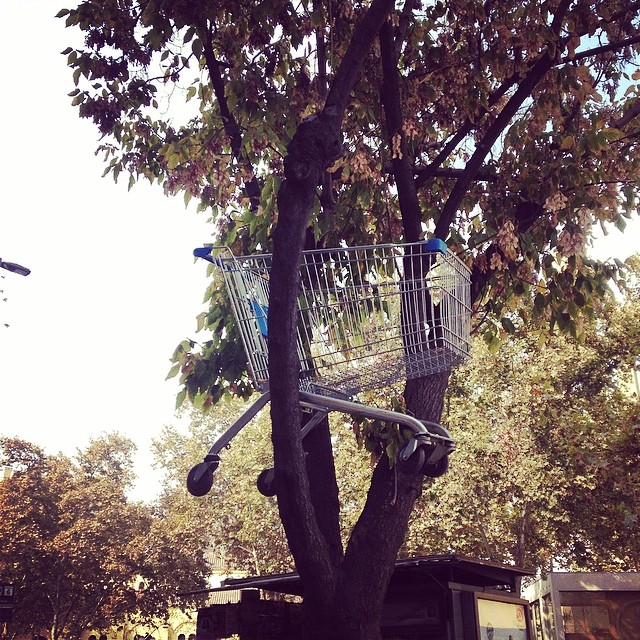 a grocery cart is stuck in the bottom of a tree