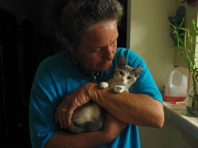 a person holding a cat in their hands