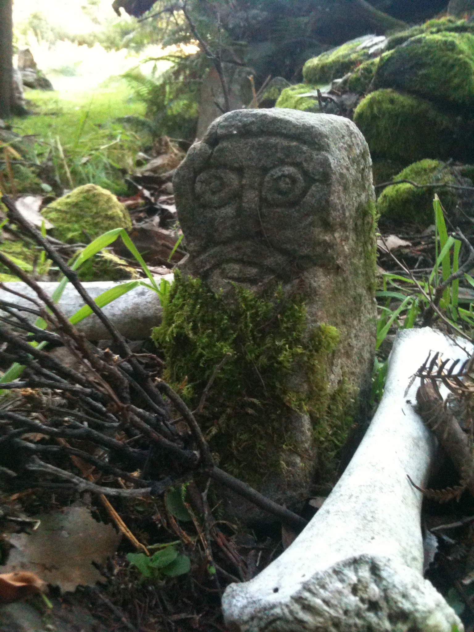 a rock surrounded by vines and moss in the woods